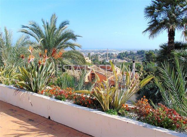 Вилла в Оливе 600 м2 №VL21428D400F  - Продажа - 7 preview