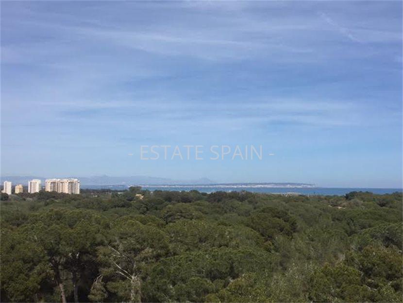 Квартира в Гуардамар-дель-Сегура 75 м2 №CBLK345  - Аренда - 12 large