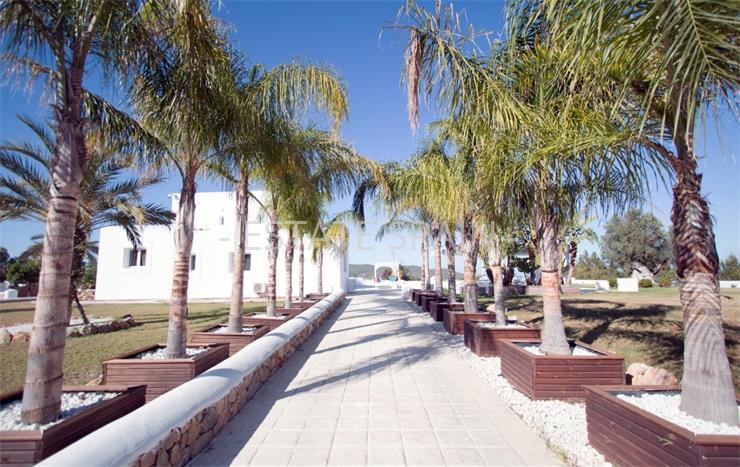 Вилла в Санта-Эулалия-дель-Рио 650 м2 №VL171215EFB7  - Продажа - 1 preview