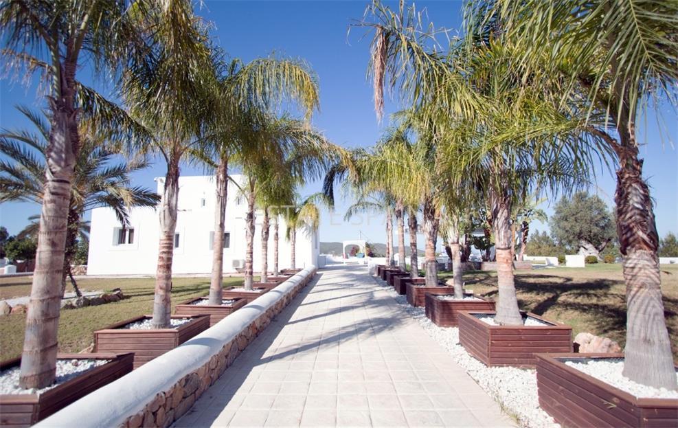 Вилла в Санта-Эулалия-дель-Рио 650 м2 №VL171215EFB7  - Продажа - 1 large