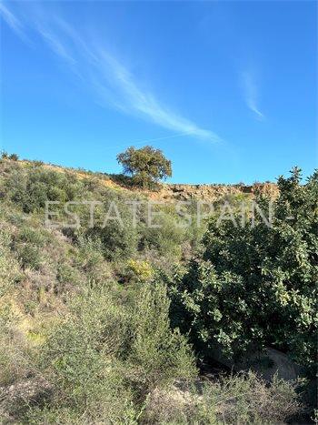Участок в Эстепоне 276 м2 №PL244324BDB  - Продажа - 1 preview