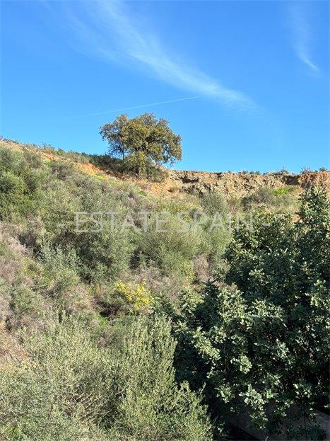 Участок в Эстепоне 276 м2 №PL244324BDB  - Продажа - 2 large