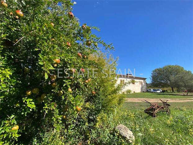 Усадьба в Сенселлес 397 м2 №VL23103CADA8  - Продажа - 22 preview