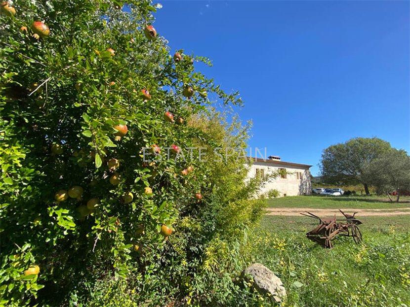 Усадьба в Сенселлес 397 м2 №VL23103CADA8  - Продажа - 22 large