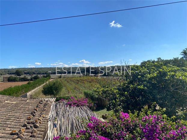 Усадьба в Сенселлес 397 м2 №VL23103CADA8  - Продажа - 27 preview