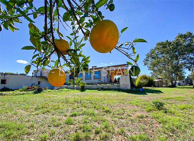 Усадьба в Сенселлес 397 м2 №VL23103CADA8  - Продажа - 1 preview