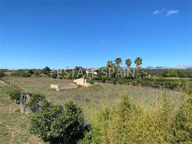 Усадьба в Сенселлес 397 м2 №VL23103CADA8  - Продажа - 32 preview