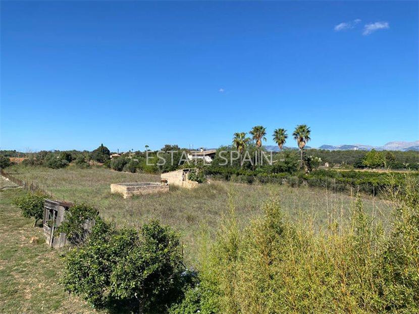 Усадьба в Сенселлес 397 м2 №VL23103CADA8  - Продажа - 32 large