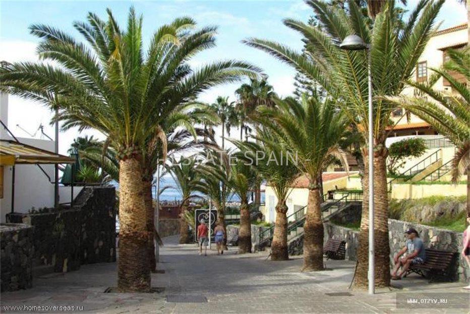 Апартаменты в Коста-Адехе 55 м2 №ART21411B2C7  - Продажа - 5 large