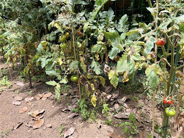 Дом в Пуэрто-де-ла-Крус 106 м2 №VL24718C937E  - Продажа - 40 preview