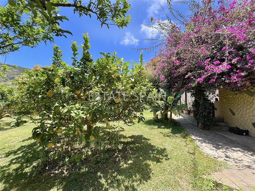 Дом в Пуэрто-де-ла-Крус 106 м2 №VL24718C937E  - Продажа - 44 large