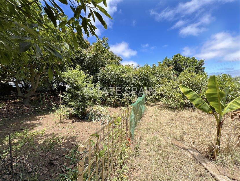 Дом в Пуэрто-де-ла-Крус 106 м2 №VL24718C937E  - Продажа - 43 large