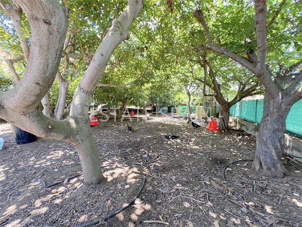 Дом в Пуэрто-де-ла-Крус 106 м2 №VL24718C937E  - Продажа - 45 preview