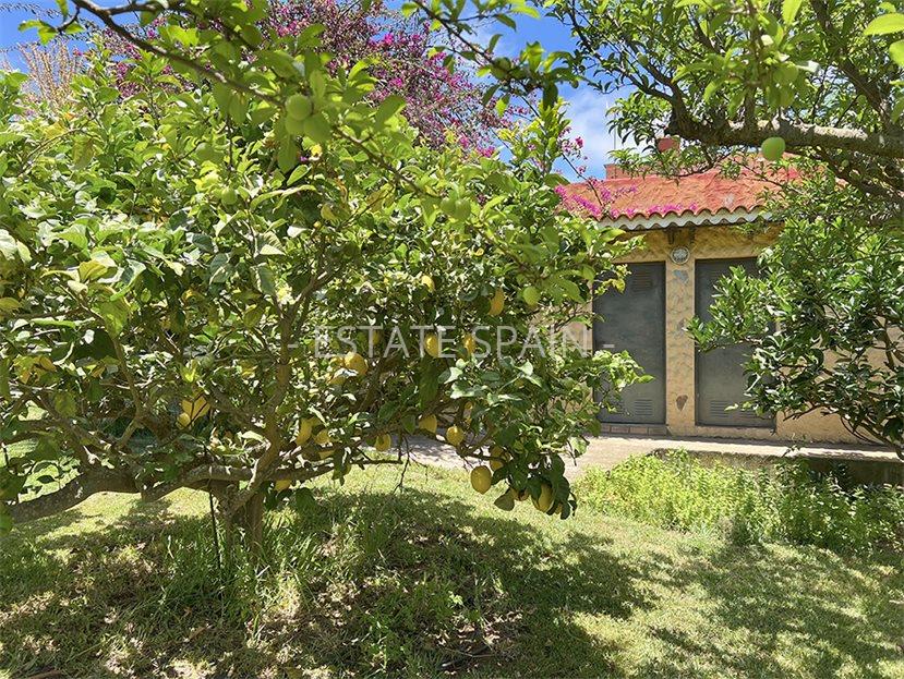 Дом в Пуэрто-де-ла-Крус 106 м2 №VL24718C937E  - Продажа - 36 large