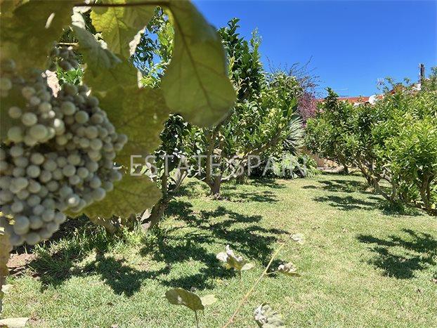 Дом в Пуэрто-де-ла-Крус 106 м2 №VL24718C937E  - Продажа - 38 preview