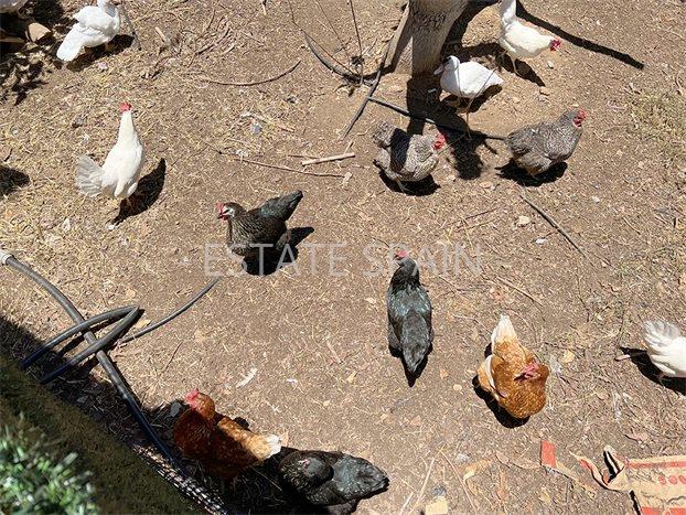 Дом в Пуэрто-де-ла-Крус 106 м2 №VL24718C937E  - Продажа - 47 preview