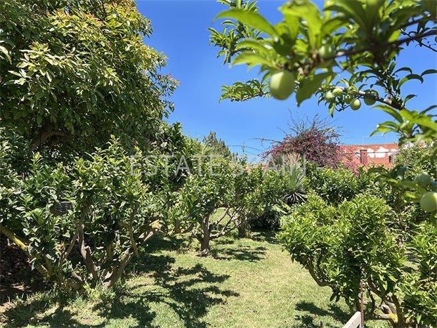 Дом в Пуэрто-де-ла-Крус 106 м2 №VL24718C937E  - Продажа - 39 preview