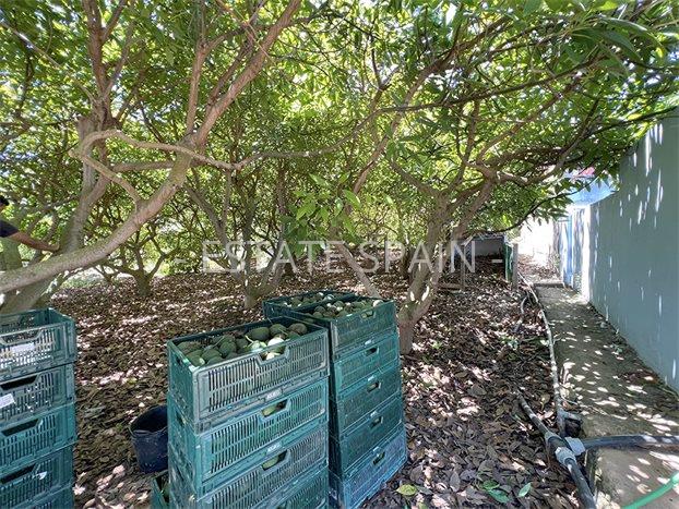 Дом в Пуэрто-де-ла-Крус 106 м2 №VL24718C937E  - Продажа - 41 preview