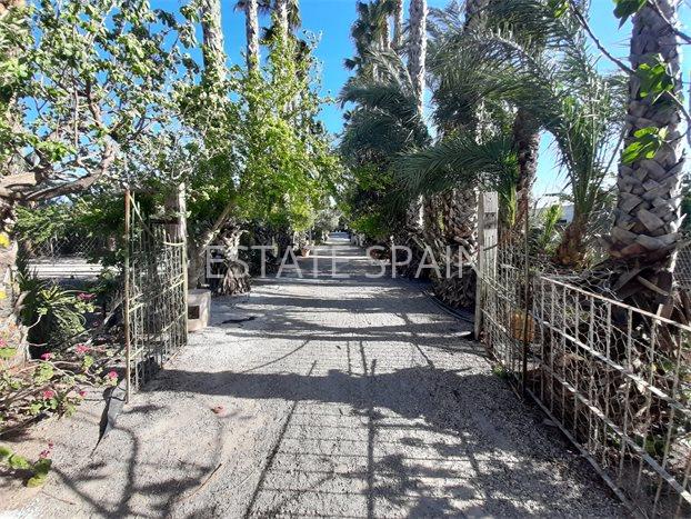 Сельский дом в Ориуэла 600 м2 №VL24639CB50  - Продажа - 3 preview