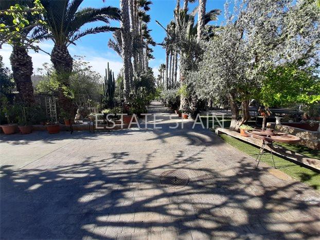 Сельский дом в Ориуэла 600 м2 №VL24639CB50  - Продажа - 8 preview