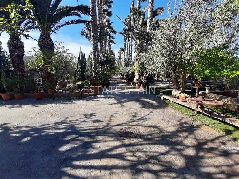 Сельский дом в Ориуэла 600 м2 №VL24639CB50  - Продажа - 8 large