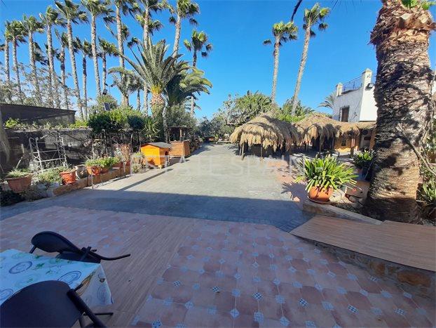 Сельский дом в Ориуэла 600 м2 №VL24639CB50  - Продажа - 7 preview