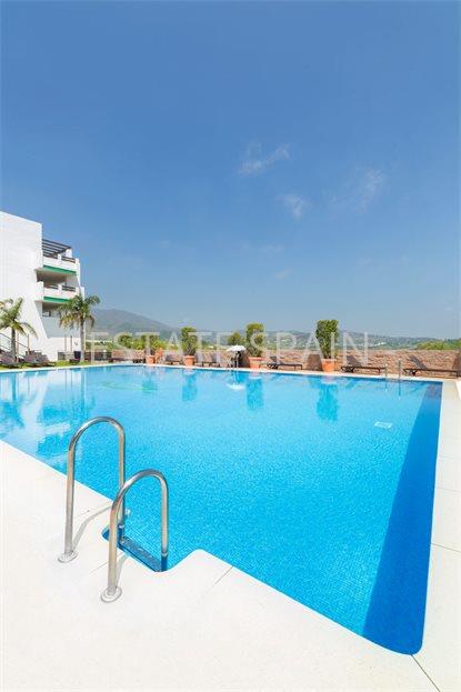 Готовый бизнес в Эстепоне 119 м2 №COM19225B6563  - Продажа - 4 large