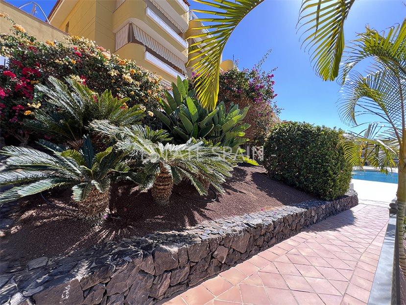 Дуплекс в Пуэрто-де-Сантьяго 163 м2 №BL25219FE8E6  - Продажа - 39 large