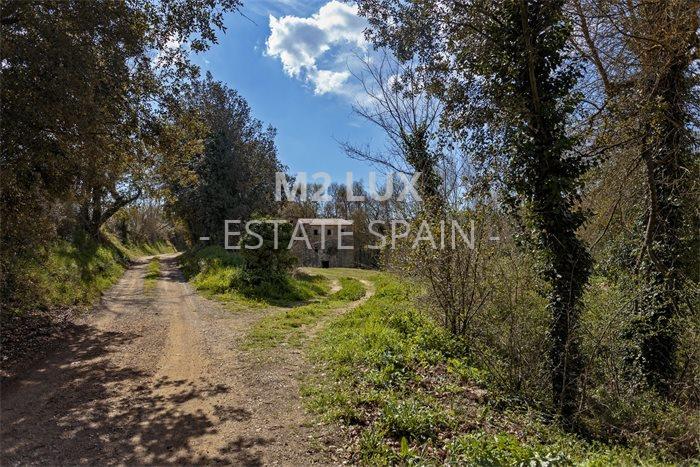 Масия в Пуболе 623 м2 №VL194249EABF  - Продажа - 21 preview