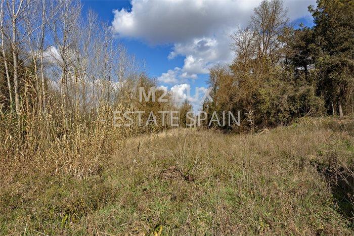 Масия в Пуболе 623 м2 №VL194249EABF  - Продажа - 6 preview