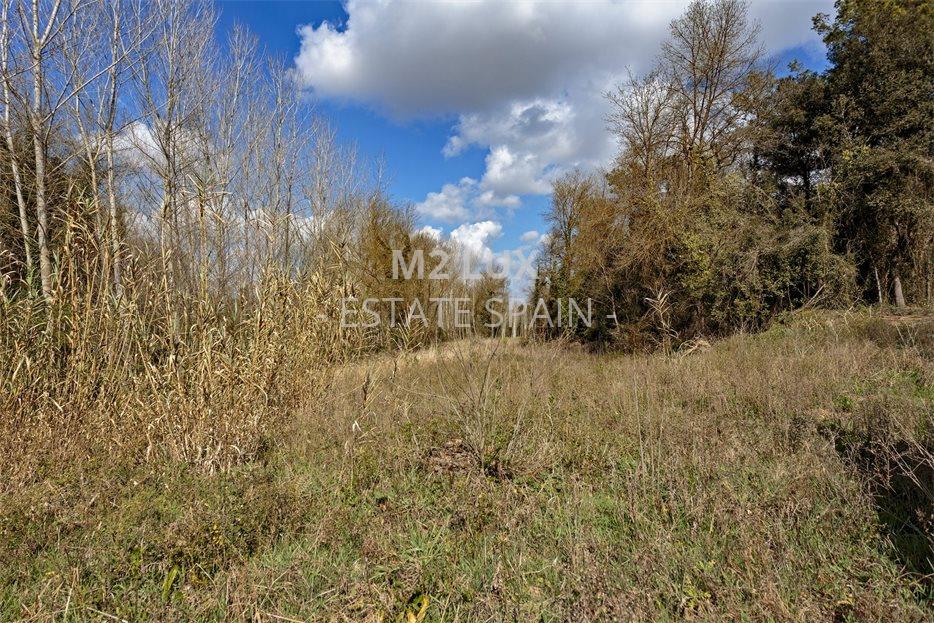 Масия в Пуболе 623 м2 №VL194249EABF  - Продажа - 6 large