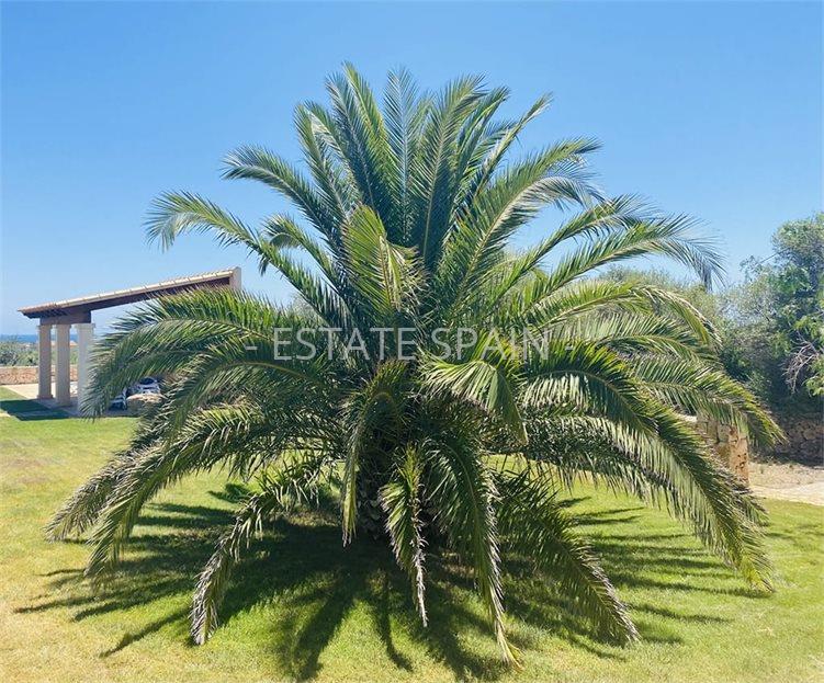 Вилла в Порто-Колом 700 м2 №VL26123312C7  - Продажа - 16 large