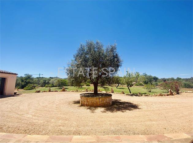 Вилла в Порто-Колом 700 м2 №VL26123312C7  - Продажа - 40 preview