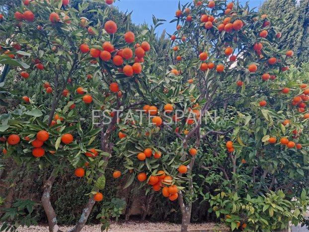 Вилла в Бенитачеле 330 м2 №VL2524F68DC  - Продажа - 36 preview