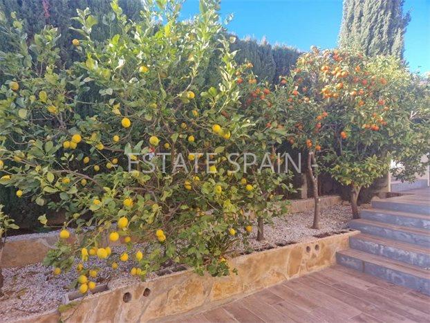 Вилла в Бенитачеле 330 м2 №VL2524F68DC  - Продажа - 33 preview