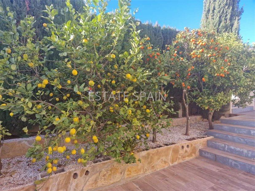 Вилла в Бенитачеле 330 м2 №VL2524F68DC  - Продажа - 33 large