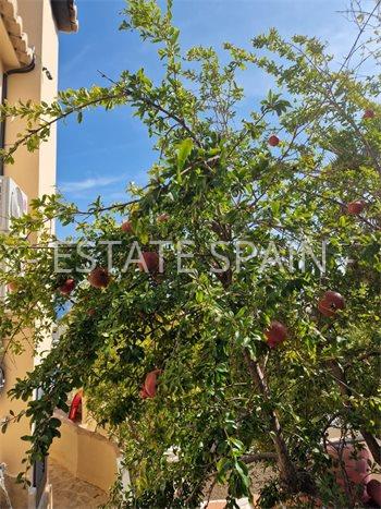 Вилла в Бенитачеле 330 м2 №VL2524F68DC  - Продажа - 34 preview