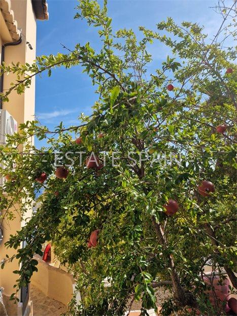 Вилла в Бенитачеле 330 м2 №VL2524F68DC  - Продажа - 34 large