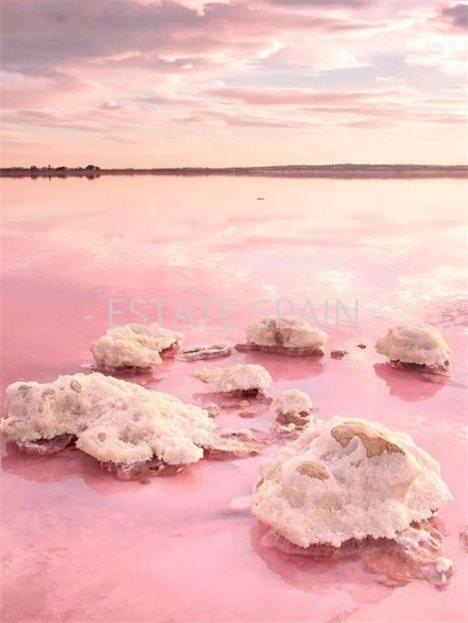 Апартаменты в Торревьехе 86 м2 №ART251010E9A2E  - Продажа - 6 large