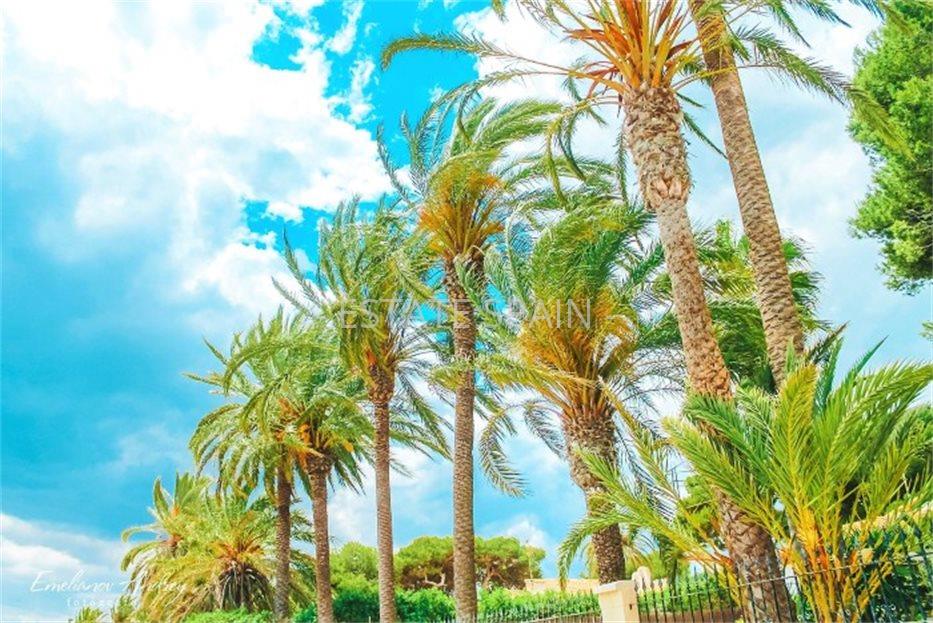 Бунгало в Ла-Мате 60 м2 №BL1981E4664  - Продажа - 7 large