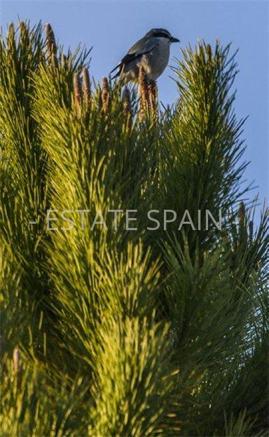 Вилла в Лас-Колинас 152 м2 №VL26217D19A7  - Продажа - 7 large