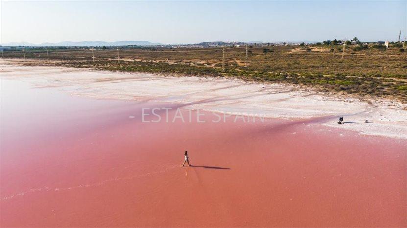 Апартаменты в Торревьехе 52 м2 №ART259176648A  - Продажа - 20 preview