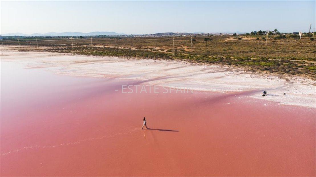 Апартаменты в Торревьехе 52 м2 №ART259176648A  - Продажа - 20 large