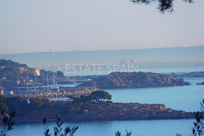 Участок в Пальманова 1290 м2 №PL2436A477B  - Продажа - 4 preview