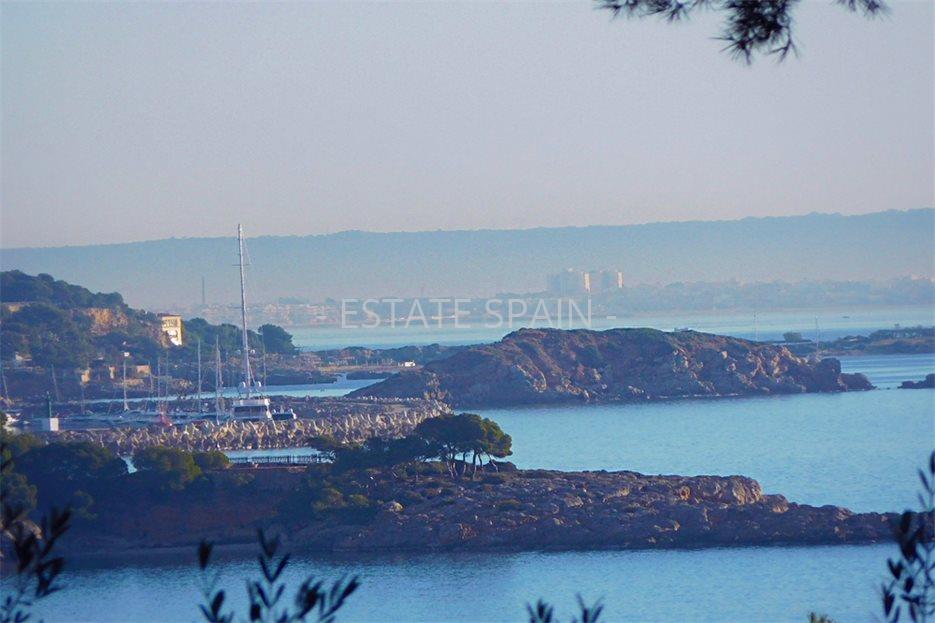 Участок в Пальманова 1290 м2 №PL2436A477B  - Продажа - 4 large