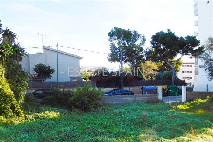 Участок в Пальманова 1290 м2 №PL2436A477B  - Продажа - 3 preview