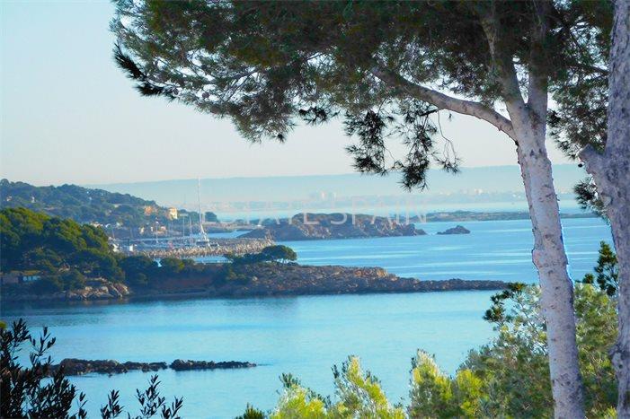 Участок в Пальманова 1290 м2 №PL2436A477B  - Продажа - 1 preview