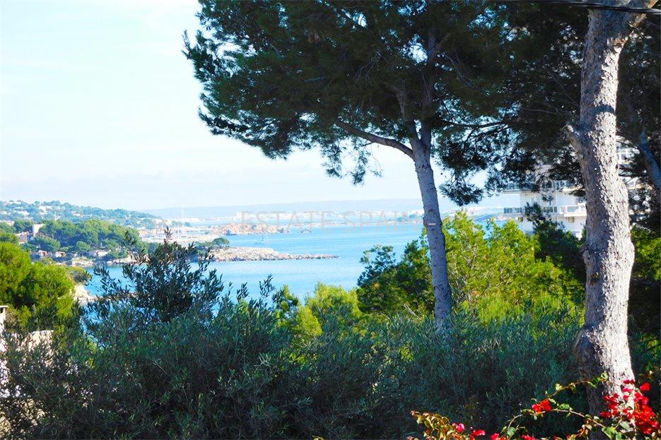 Участок в Пальманова 1290 м2 №PL2436A477B  - Продажа - 2 large