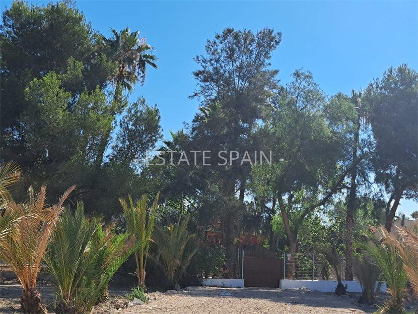 Вилла в Беньель 250 м2 №VL2486928BF  - Продажа - 39 large