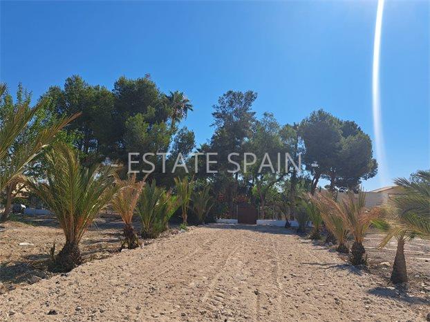 Вилла в Беньель 250 м2 №VL2486928BF  - Продажа - 40 preview